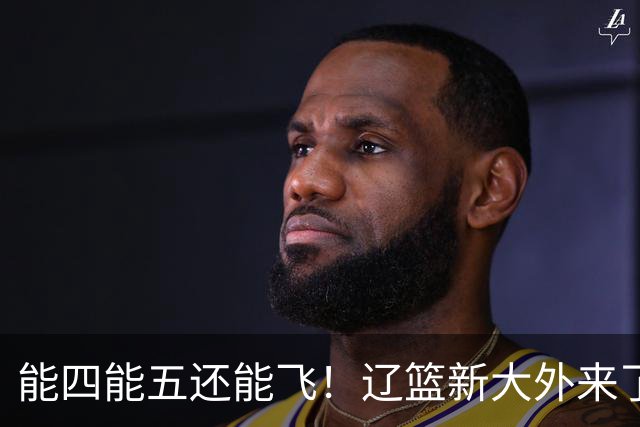 能四能五还能飞！辽篮新大外来了，比莫兰德更适配，乌戈捡到宝了