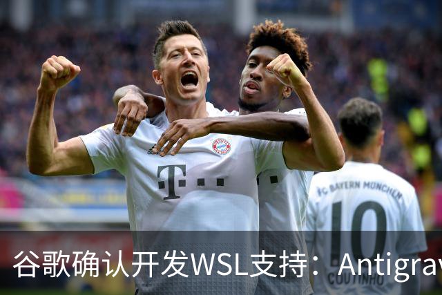 谷歌确认开发WSL支持：Antigravity将直连Win11 Linux环境